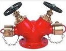 Fire hydrant valves suppliers in kolkata