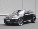 BMW  X6  ACS6 3.5d Falcon