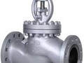 Globe valves in kolkata