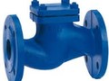 Check valves suppliers in kolkata