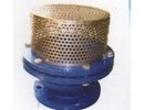 Foot valves suppliers in kolkata