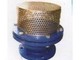 Foot valves suppliers in kolkata - 12 Ft.