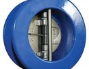 Dual plate check valves in kolkata