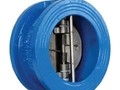 Dual plate check valves dealers in kolkata