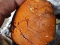 Buy cow /ox gallstone available on stock now