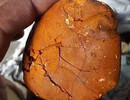 Buy cow /ox gallstone available on stock now