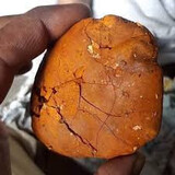 Buy cow /ox gallstone available on stock now